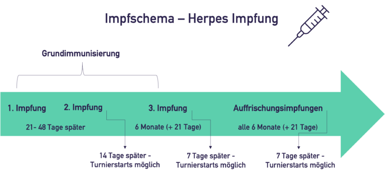 Herpes Impfung Pferd Wie Oft www.tierarzt-glinde.de