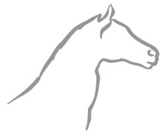 Logo Pferdepraxis
